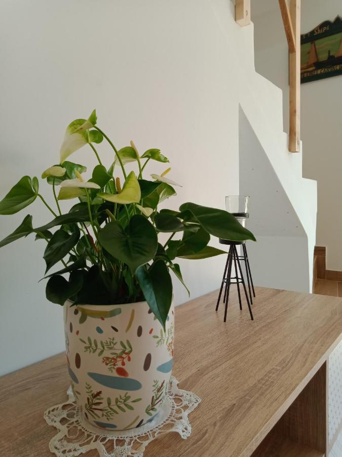מלון Olival Casa Do Vale Cabo מראה חיצוני תמונה